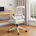 Ergonomic Office Chair, Mesh Desk Chair With Lumbar Support, Adjustable Arms, Ergonomic Chair For Home Office Work
